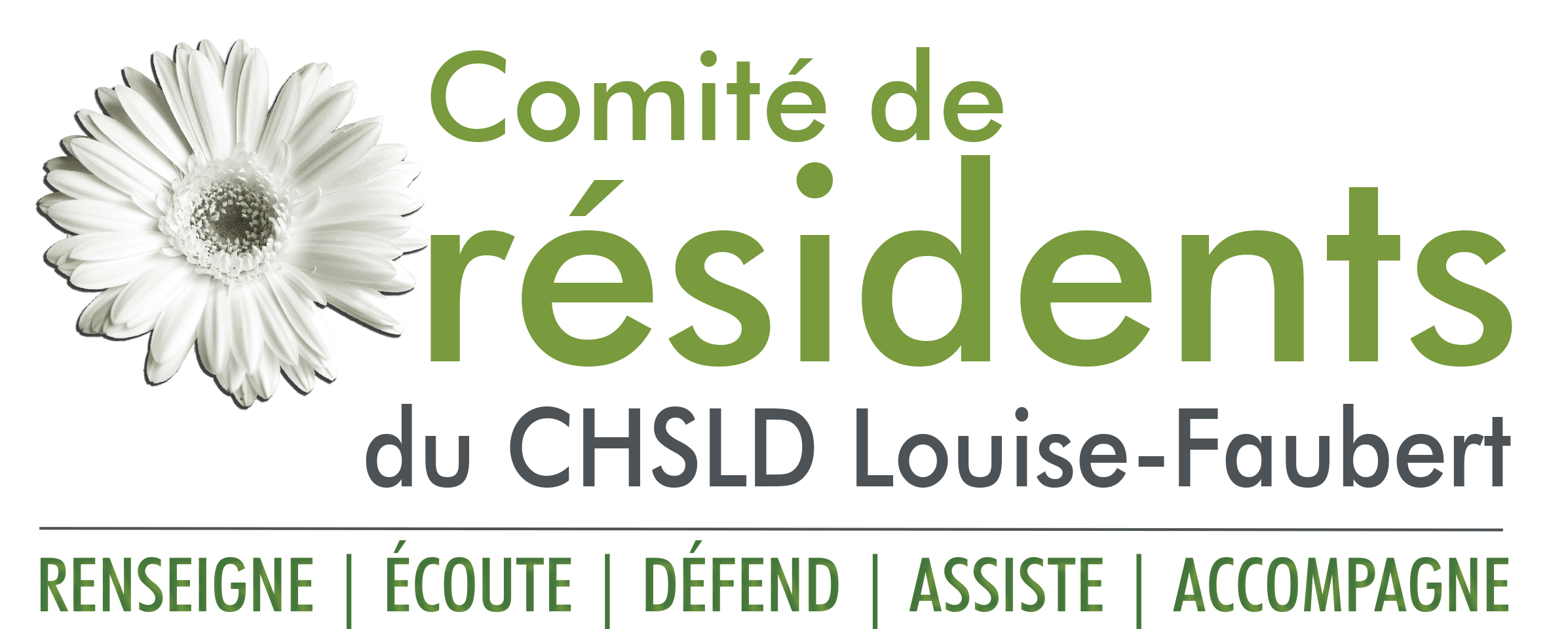 Comité résidents CHSLD Louise-Faubert